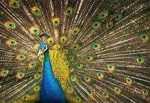 How To Spot A Narcissist (12 Signs Of A Toxic Person) Spot a narcissist